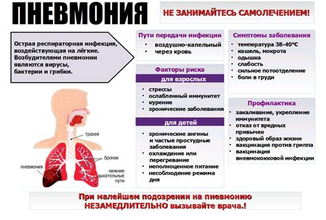 Диагностика обратного развития пневмонии