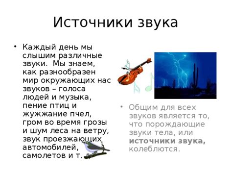 Звуковые явления в природе и их значение