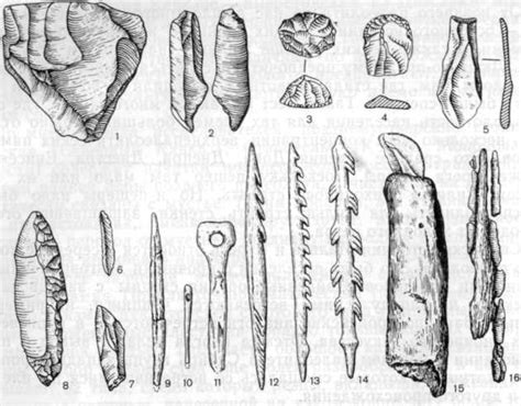 Инструменты и материалы позднего палеолита