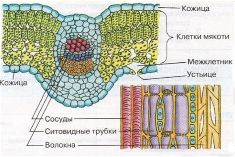 Определение панч листа в строительстве