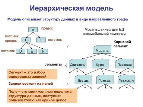 Основные принципы иерархической модели