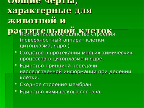 Особенности химического состава растительной и животной пищи