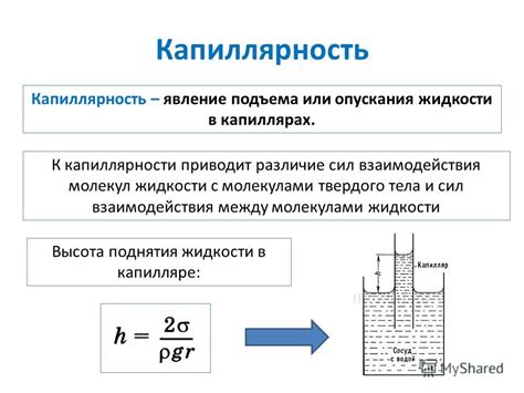 Повседневные примеры капиллярности