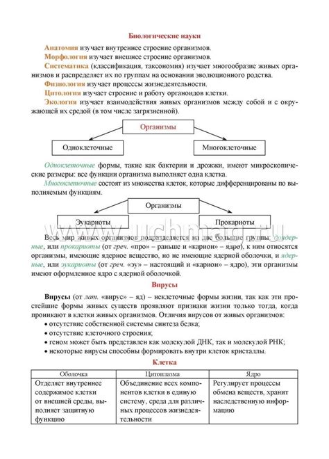 Примеры научных терминов