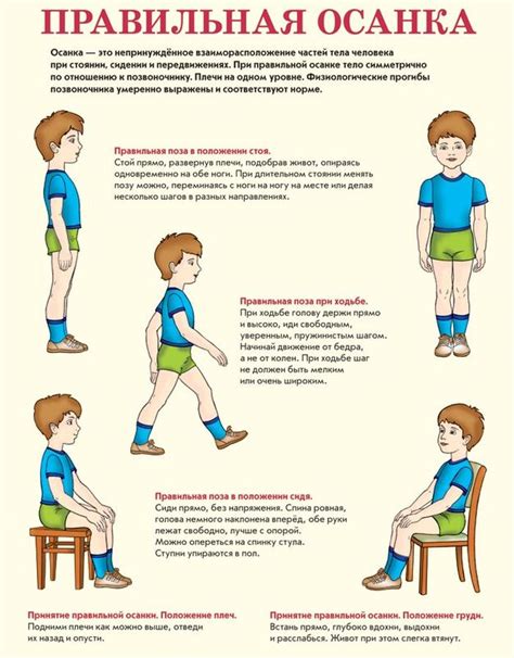 Принципы правильной осанки учеников 4 класса