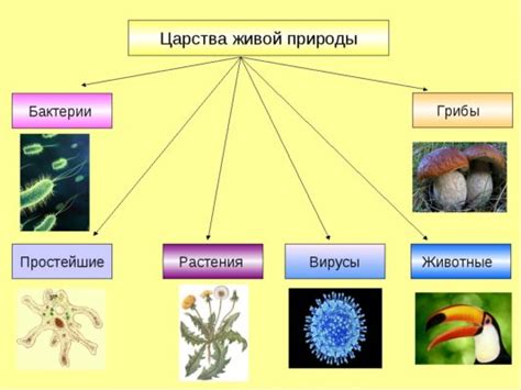 Свойства в биологии